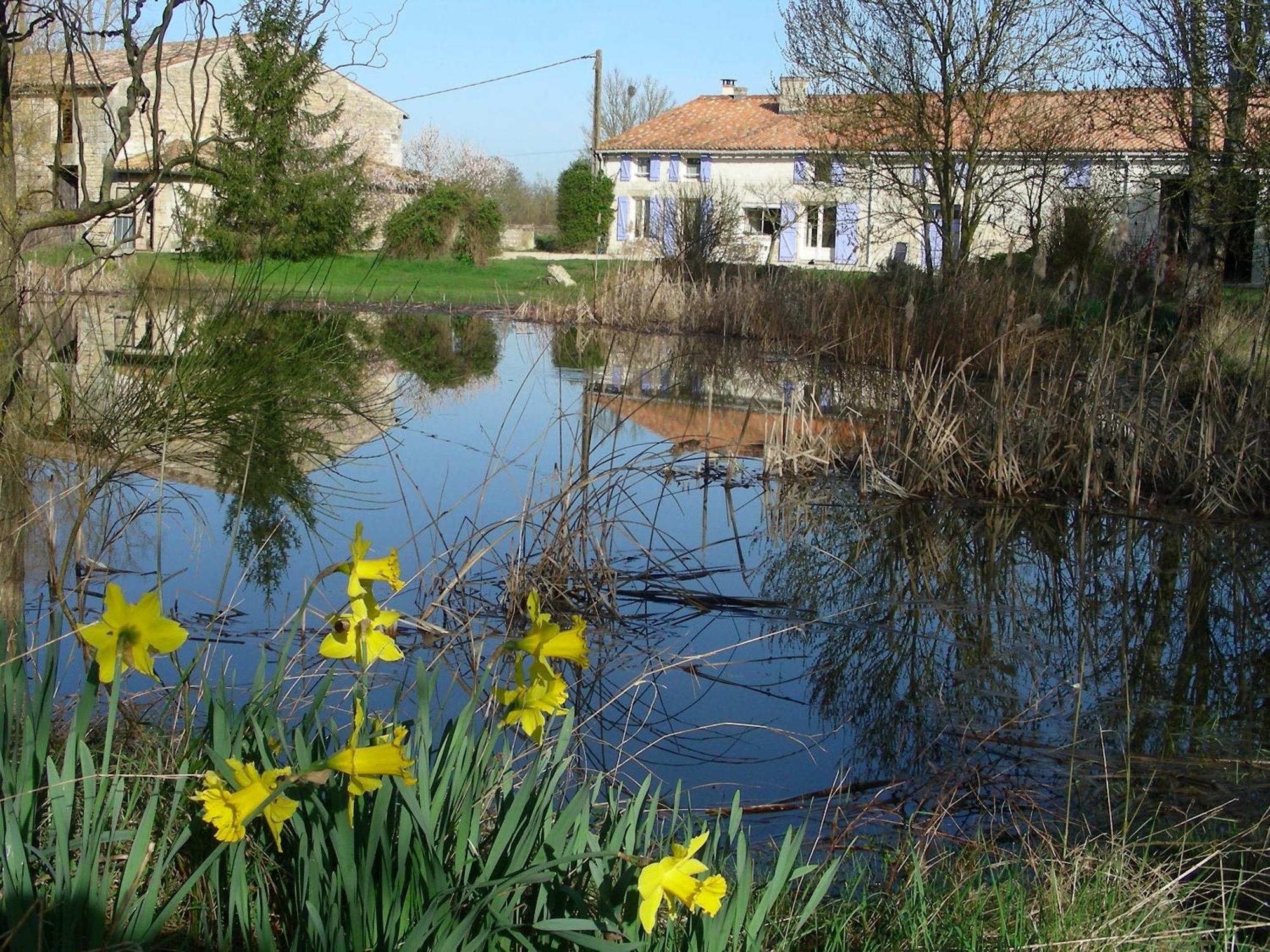 Chambres D'Hotes Entre Niort Et Marais Poitevin Bessines Exterior photo